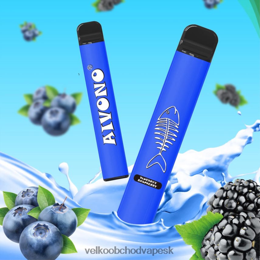Aivono AIM FISHBONE 600 čučoriedka malina - 2J004B281 Veľkoobchod Vape SK