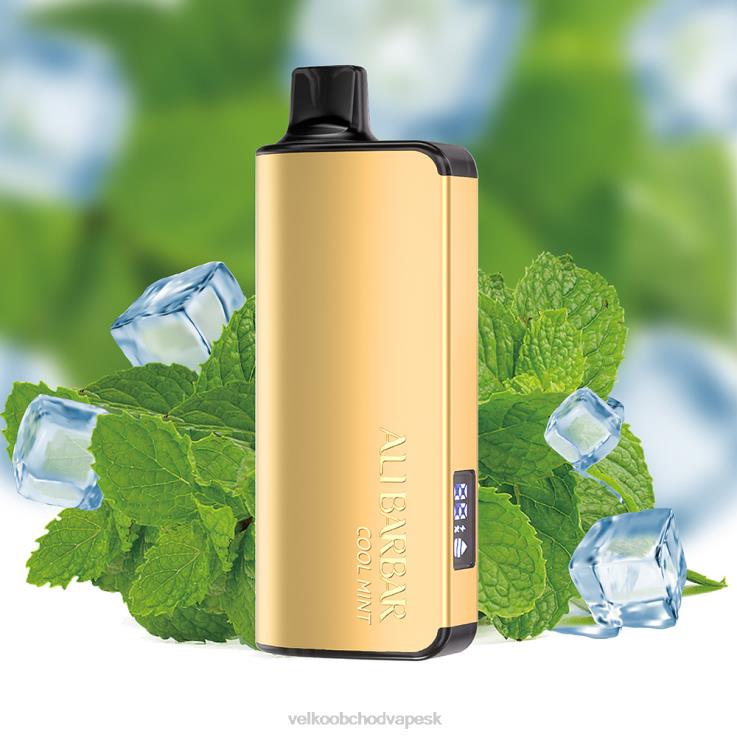 E Cigarety Jednorazove 66VR618 Alibarbar Ingot 9000 jednorazová vapa chladná mäta