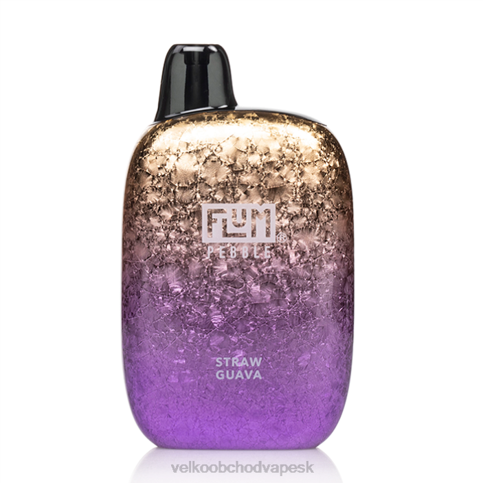slamená guava FLUM PEBBLES 6000 ťahov 840H42 E Cigareta SK