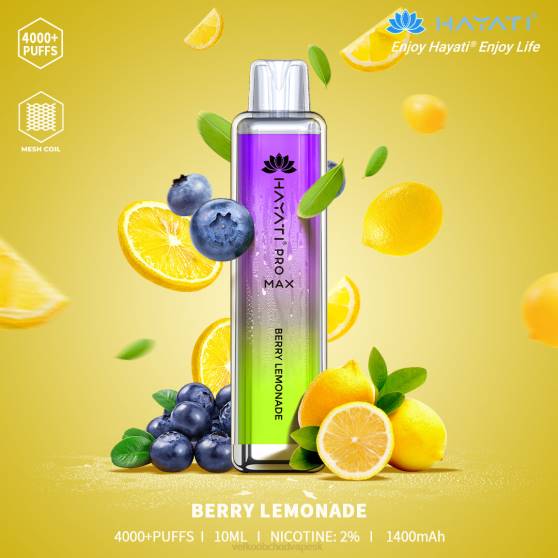 bobuľová limonáda