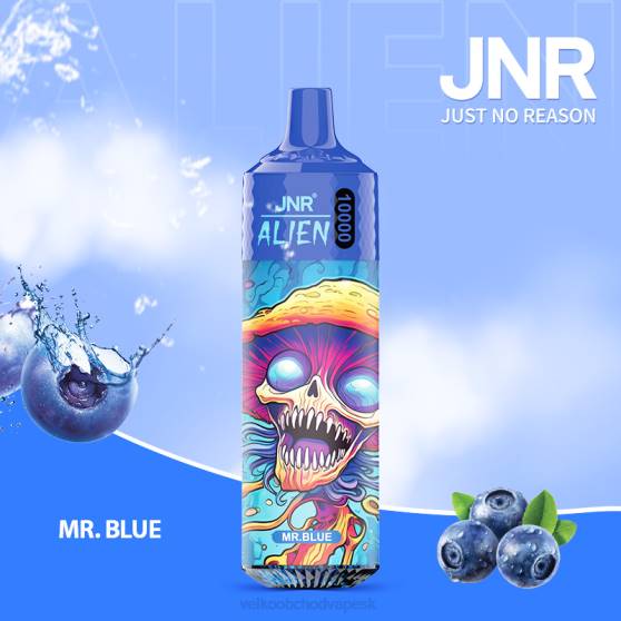 Vape Jednorázové Bez Nikotinu RHNN653 | JNR ALIEN pán modrý