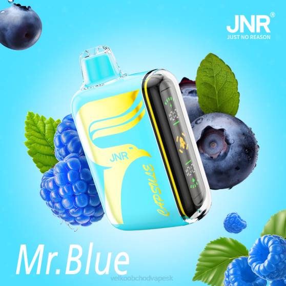 E Cigareta SK RHNN606 | JNR CAPSULE pán modrý