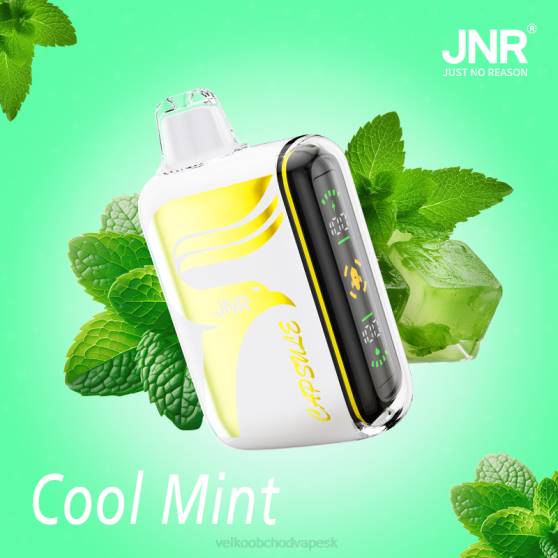 Vape Jednorazove RHNN604 | JNR CAPSULE chladná mäta