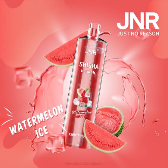 Vape Jednorázové Bez Nikotinu RHNN693 | JNR SHISHA melónový ľad