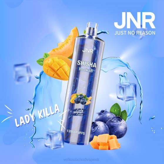 Vape Velkoobchod RHNN682 | JNR SHISHA pani killa