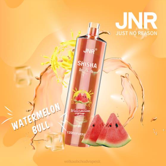 Vape Velkoobchod RHNN692 | JNR SHISHA melónový býk