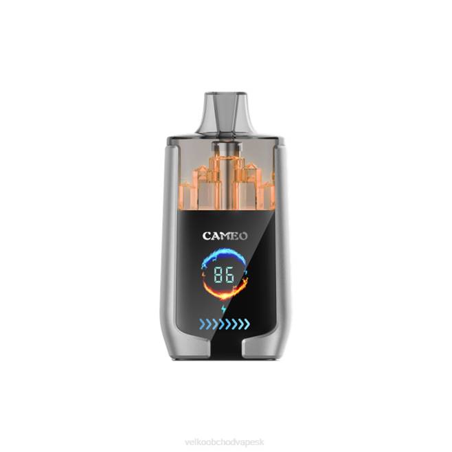 LAVIE CAMEO 30 000 ťahov V8H015 | Veľkoobchod Vape SK čučoriedkový ľad