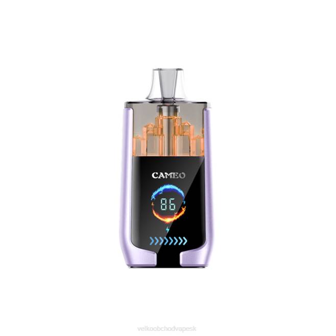 LAVIE CAMEO 30 000 ťahov V8H016 | Vape Velkoobchod hroznový ľad