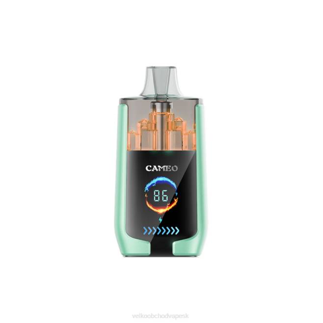 LAVIE CAMEO 30 000 ťahov V8H020 | Nejlepsi Vape Cigareta dvojité jablko