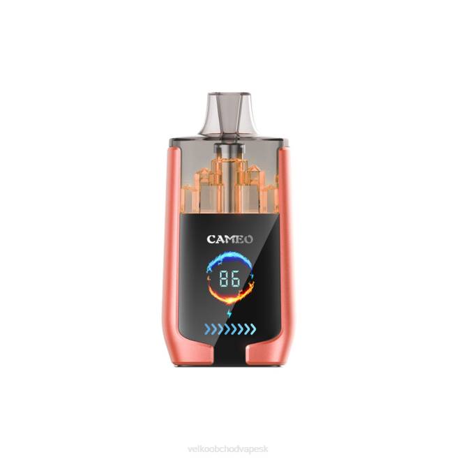 LAVIE CAMEO 30 000 ťahov V8H024 | Vape Jednorazove jahodový melón