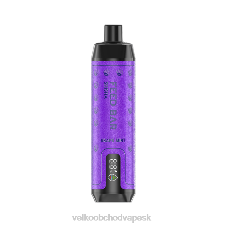 Veľkoobchod Vape SK 66VR6100 Vapsolo SHISHA jednorazová vapa hroznová mäta