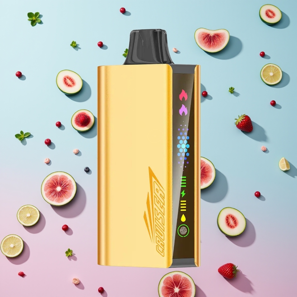 JNR Cruiser 12000 Púfov Bez Nabíjania Disposable Vape Chladivá Mäta 25ml 50mg/mL Dual Mesh JNR Cruiser 12000 Púfov Bez Nabíjania Disposable Vape Chladivá Mäta 25ml 50mg/mL Dual Mesh