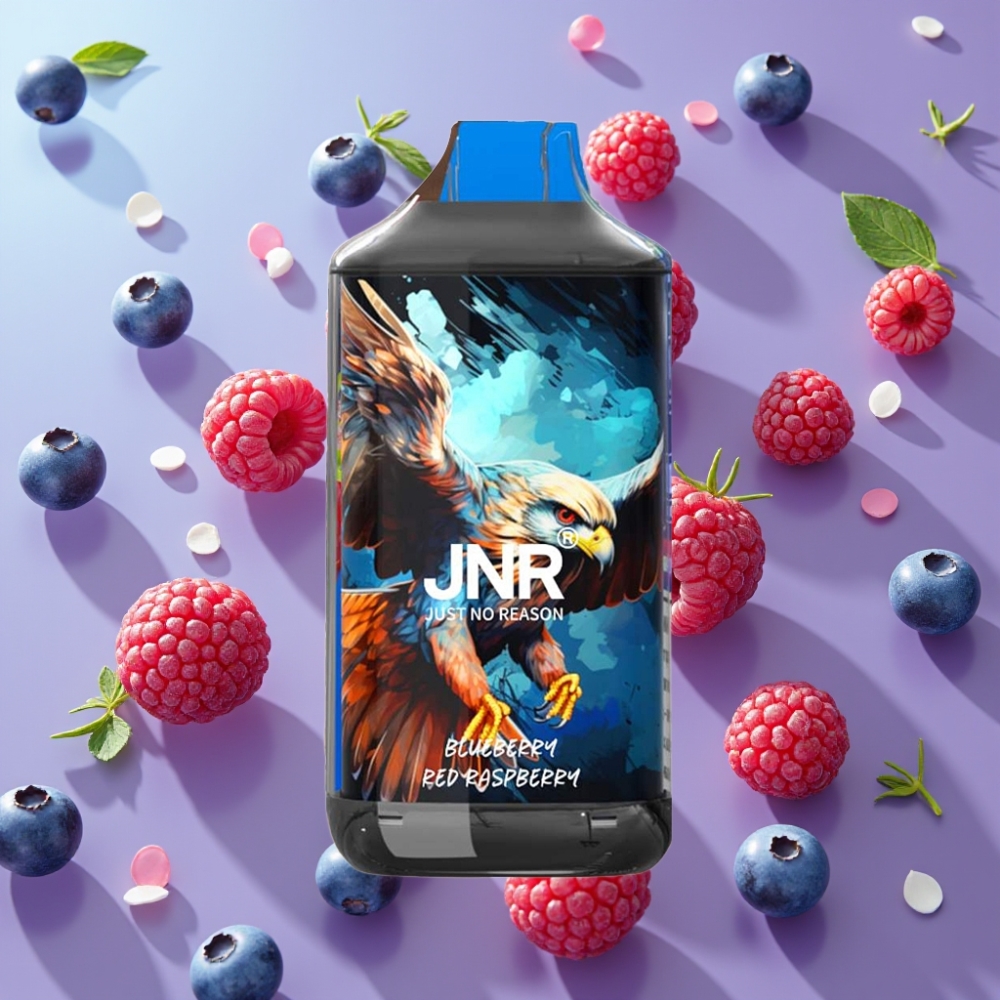JNR Falcon Čučoriedka Červená Malina 16000 Puffs, 850mAh, 22ml JNR Falcon Čučoriedka Červená Malina 16000 Puffs, 850mAh, 22ml