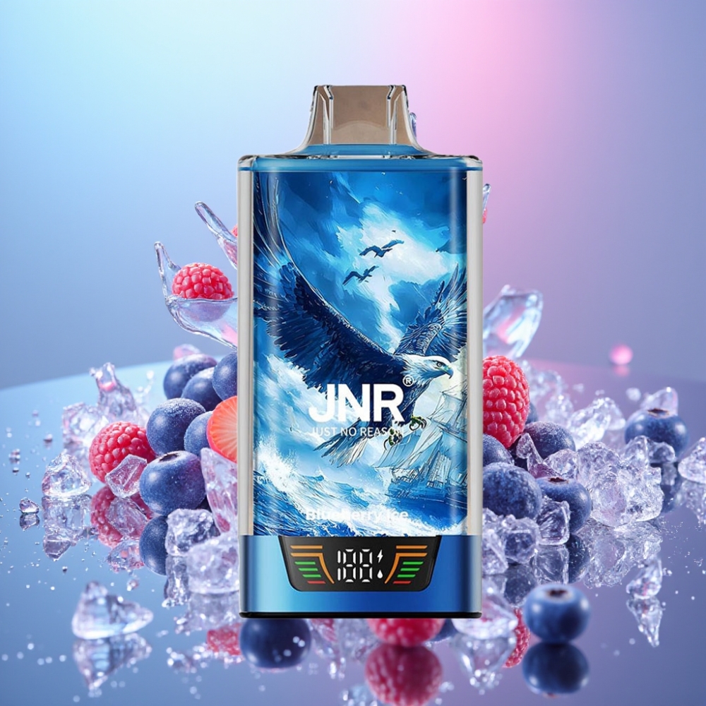 JNR Falcon Pro 28000 Disposable Vape Čučoriedková Mätová 30ml 950mAh 28000 Puffs JNR Falcon Pro 28000 Disposable Vape Čučoriedková Mätová 30ml 950mAh 28000 Puffs