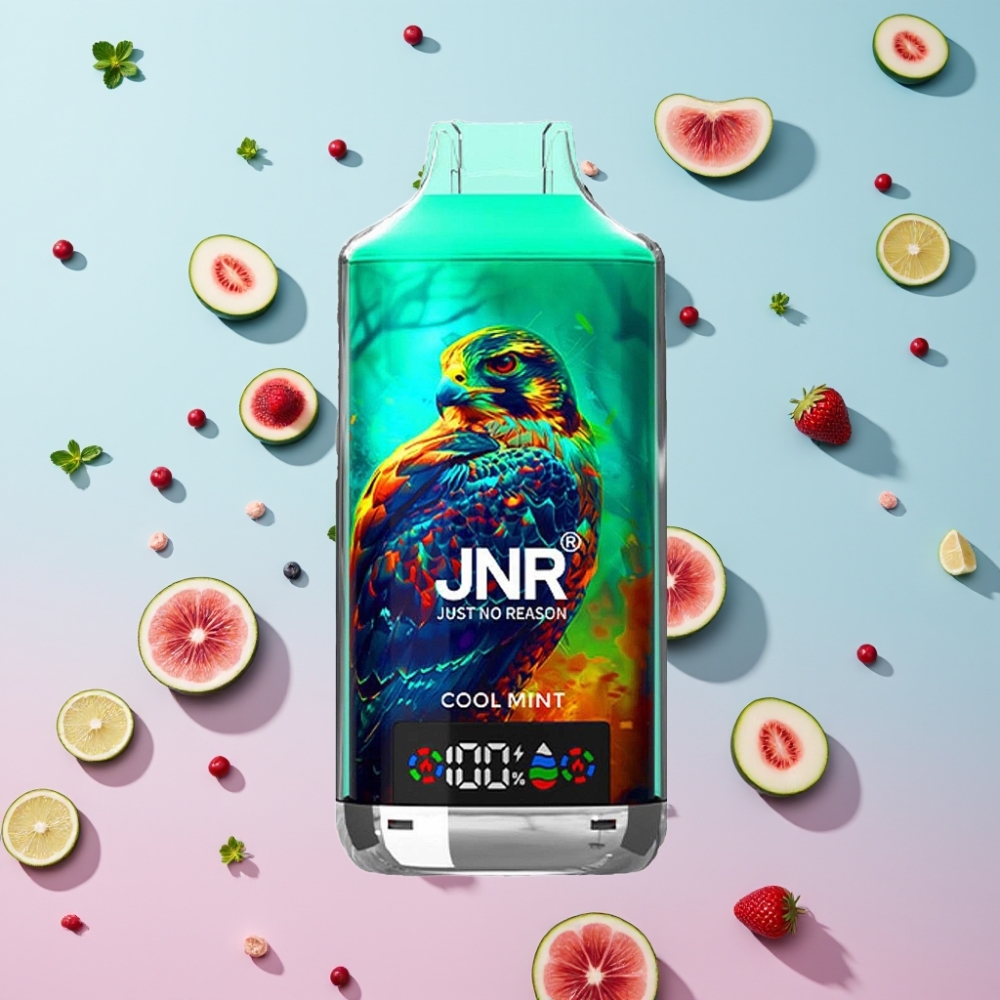 JNR Falcon X 18000 Puffs Chladivá Mätová 24ml 750mAh Dual Mesh JNR Falcon X 18000 Puffs Chladivá Mätová 24ml 750mAh Dual Mesh