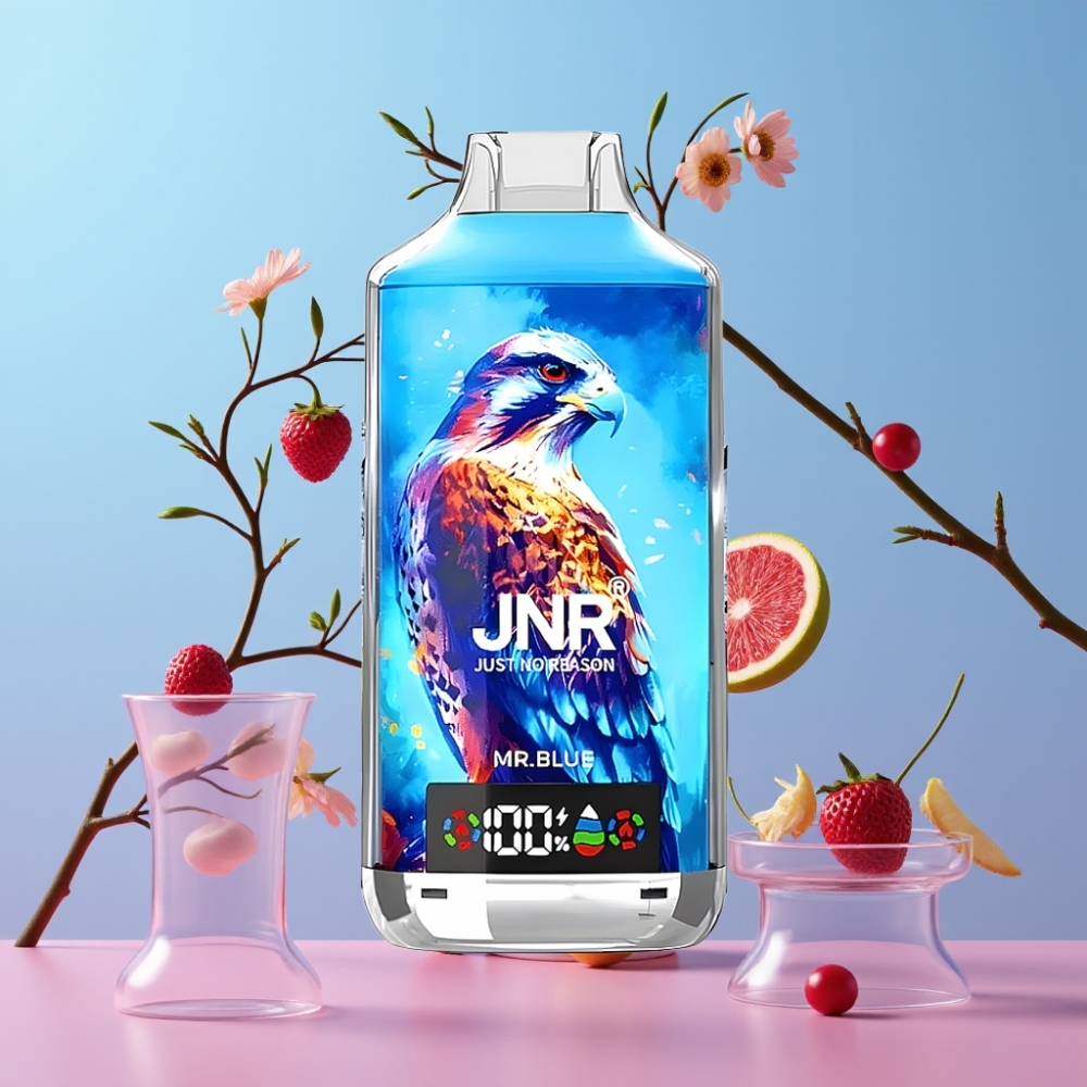 JNR Falcon X 18000 Puffs Pán Modrý 750mAh 24ml Dual Mesh Coil JNR Falcon X 18000 Puffs Pán Modrý 750mAh 24ml Dual Mesh Coil