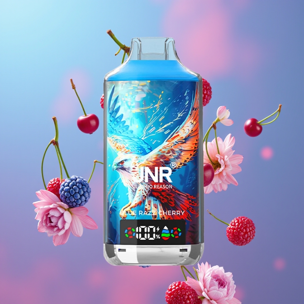JNR Falcon X Modrá Malina Višňa 18000 Puffs 24ml Dual Mesh Coil Type-C