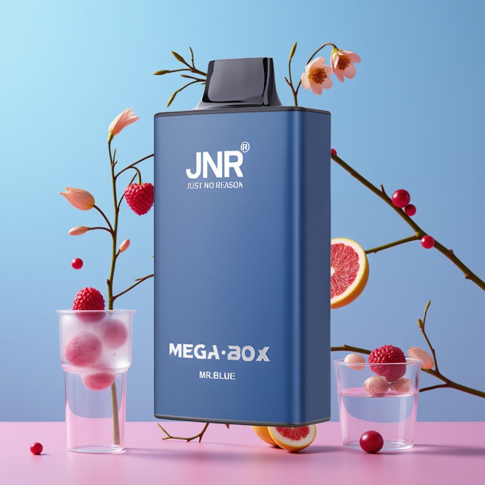 JNR Mega Box 25000 Puffs Disposable Vape Pán Modrý, 30ml, 850mAh, Dual Mesh JNR Mega Box 25000 Puffs Disposable Vape Pán Modrý, 30ml, 850mAh, Dual Mesh