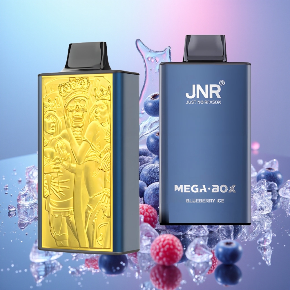 JNR Mega Box 25000 Puffs Disposable Vape Čučoriedkový ľad, 30ml, 850mAh, Dual Mesh Coil