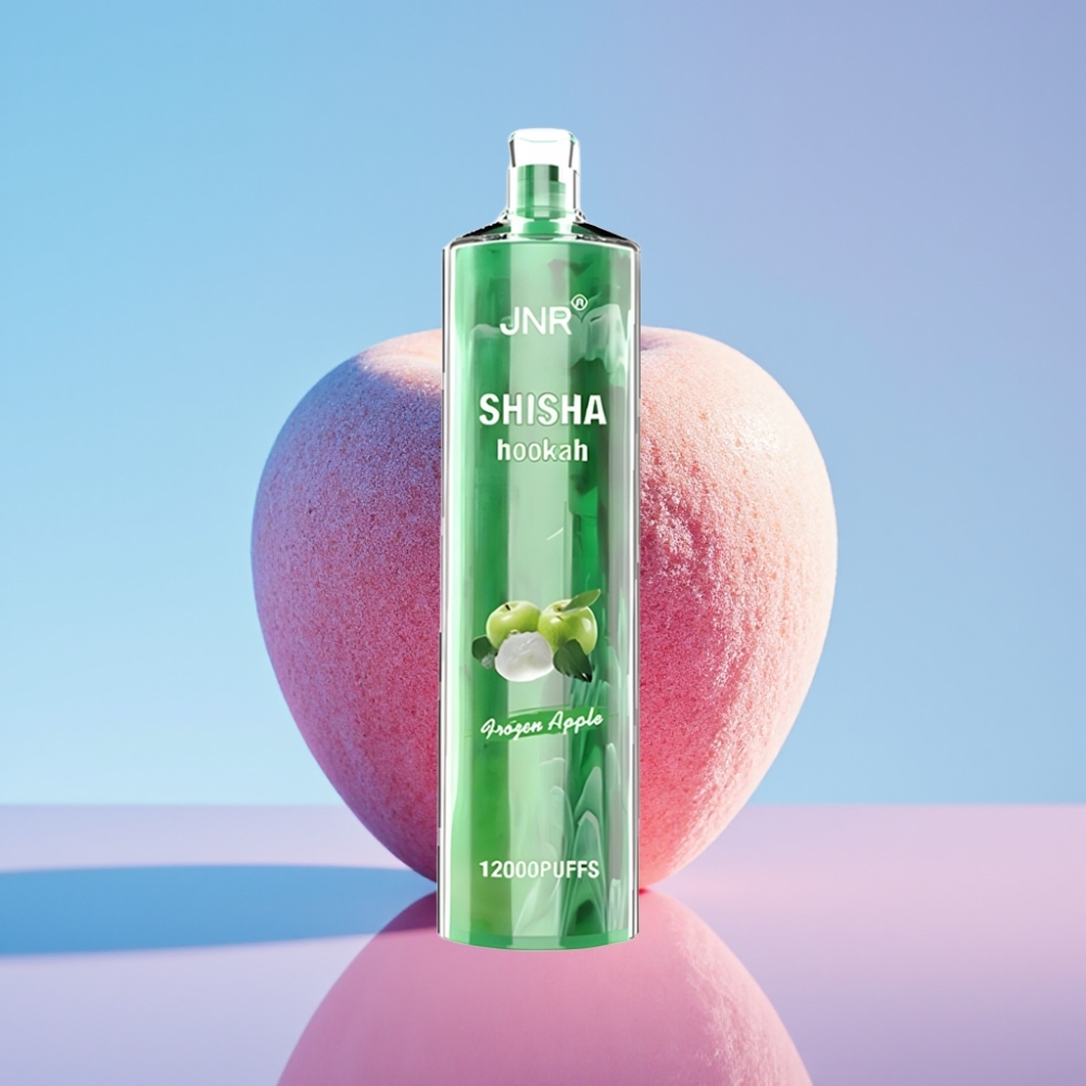 JNR Shisha Hookah 12000 Puffs Mrazené jablko 24ml 750mAh