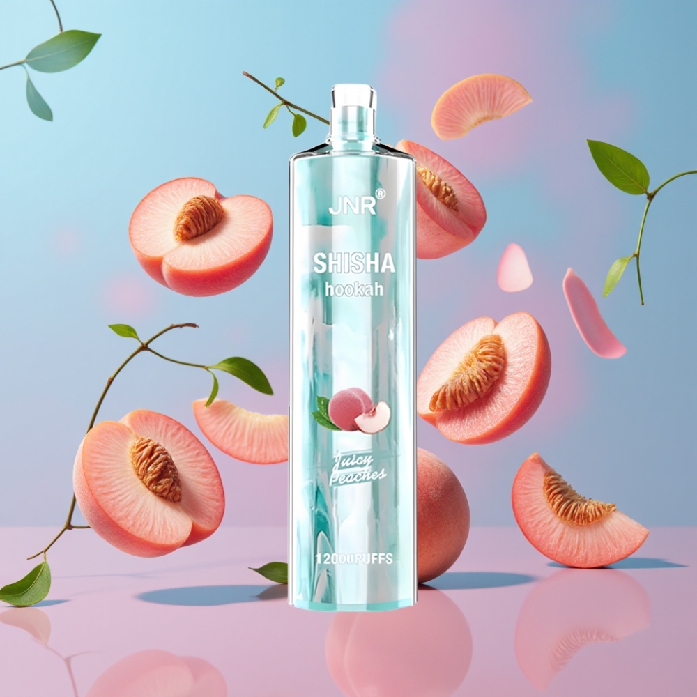 JNR Shisha Hookah 12000 Puffs Šťavnaté Broskyne 24ml 750mAh Type-C