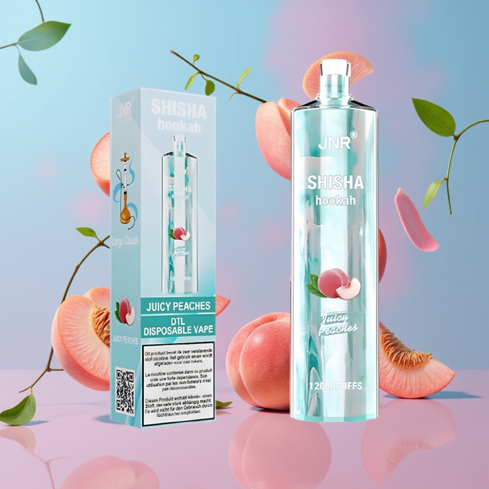 JNR Shisha Hookah 12000 Puffs Šťavnaté Broskyne 24ml 750mAh Type-C
