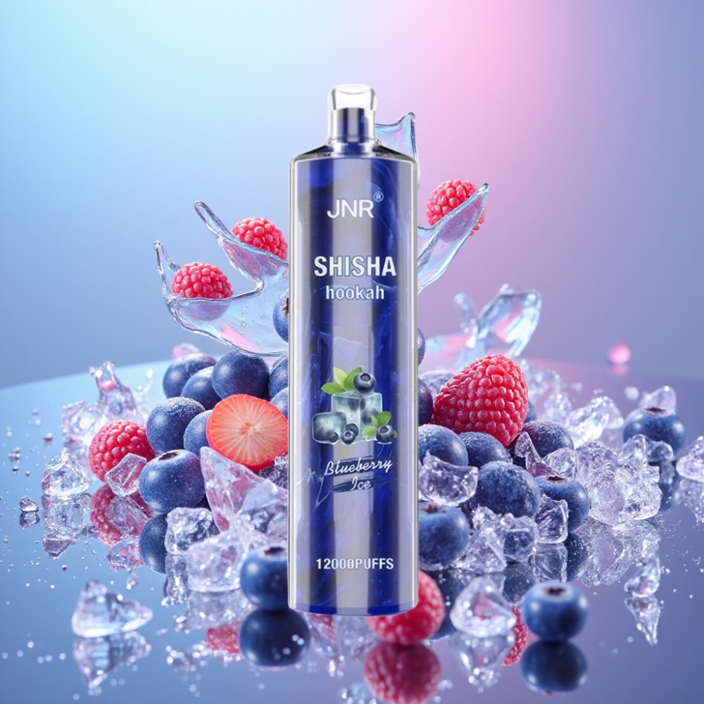 JNR Shisha Hookah 12000 Puffs Čučoriedkový ľad 24ml 750mAh Type-C