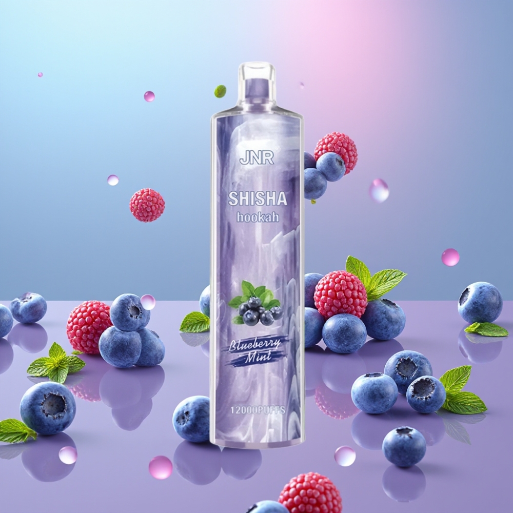 JNR Shisha Hookah Čučoriedková Mäta 12000 Puffs 24ml 750mAh