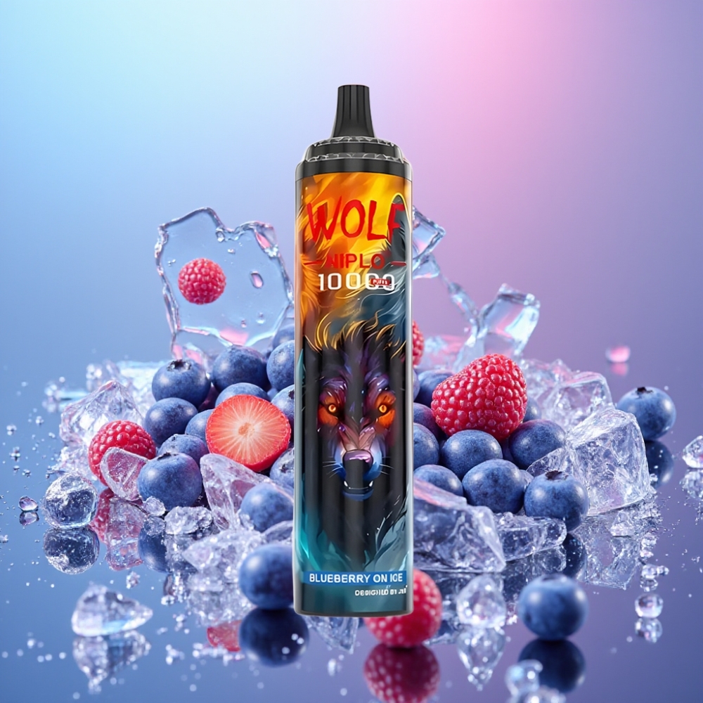 JNR Wolf Niplo 10000 Puffs Borovnica s ľadom 20ml 5% Type-C